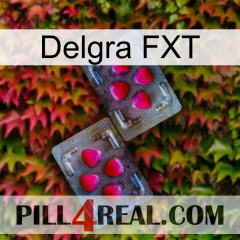 Delgra FXT 15